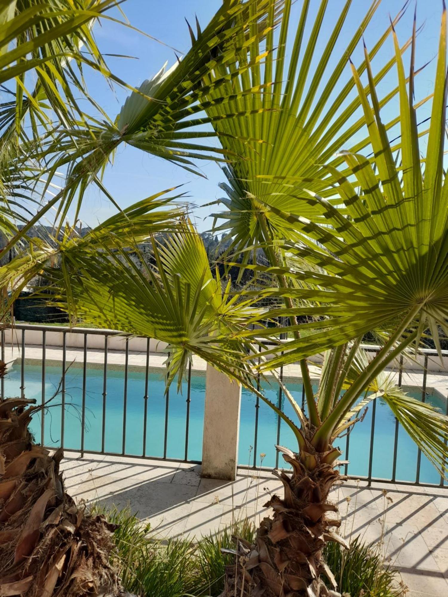 Villa Azur Lorgues Ngoại thất bức ảnh