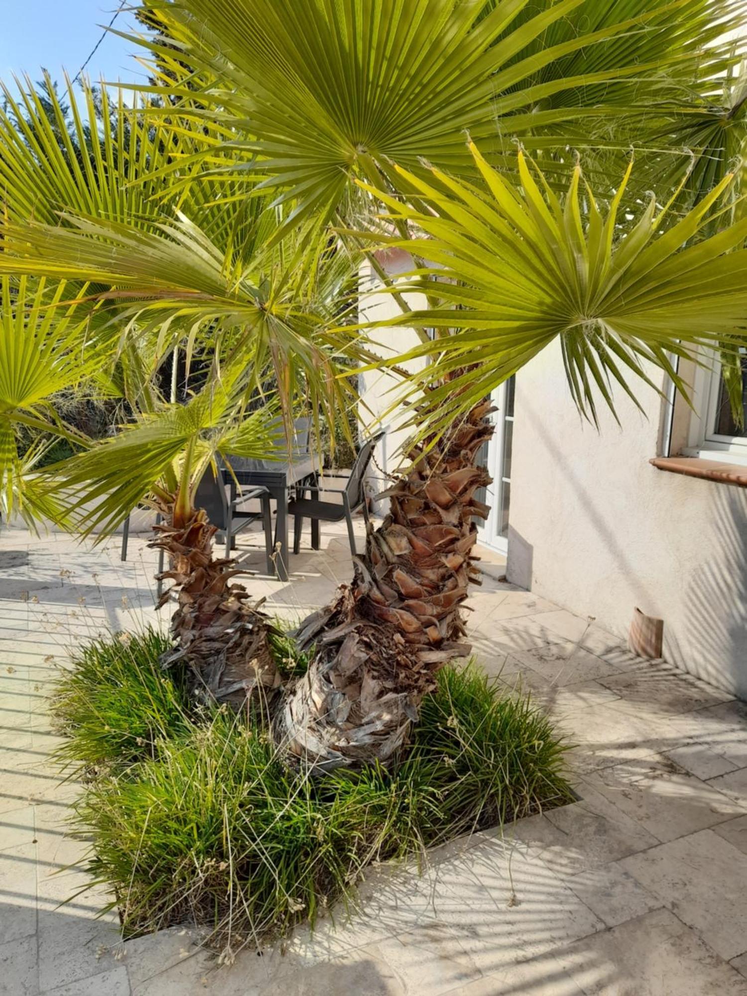 Villa Azur Lorgues Ngoại thất bức ảnh