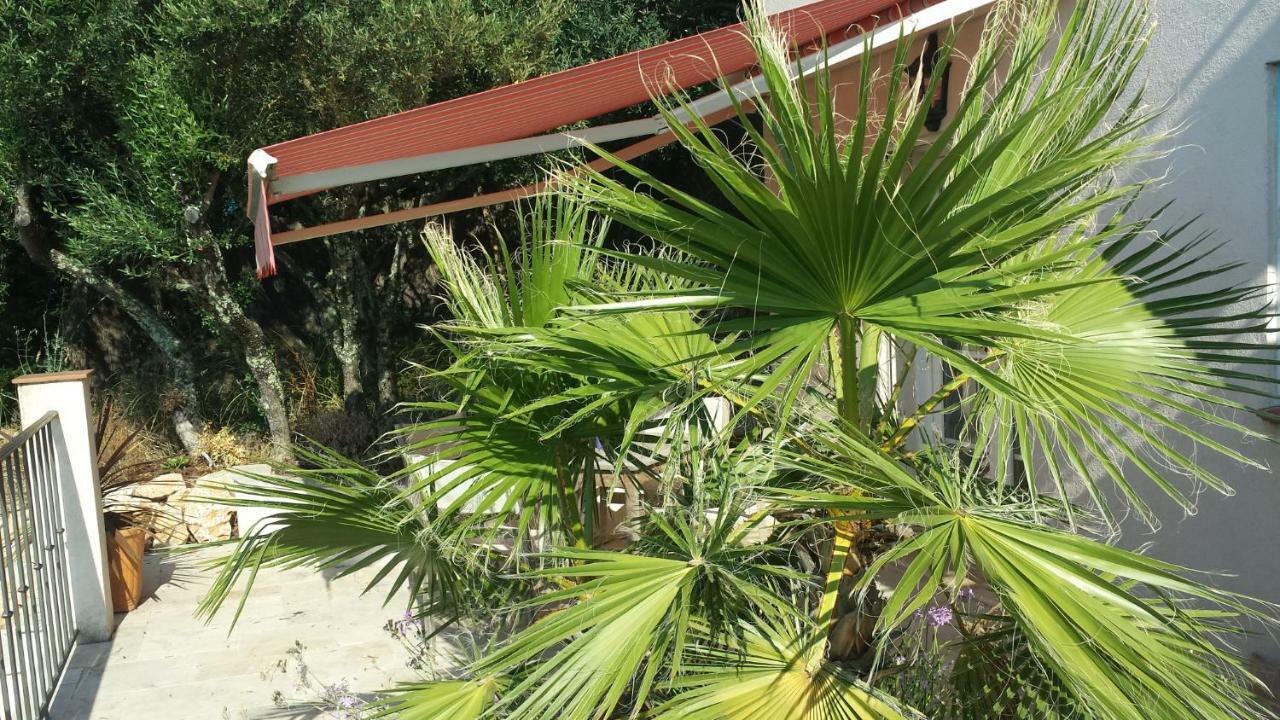 Villa Azur Lorgues Ngoại thất bức ảnh